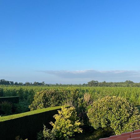 Jolie Maison De Vacances Avec Terrasse Et Jardin Saint-Julien-en-Born Buitenkant foto
