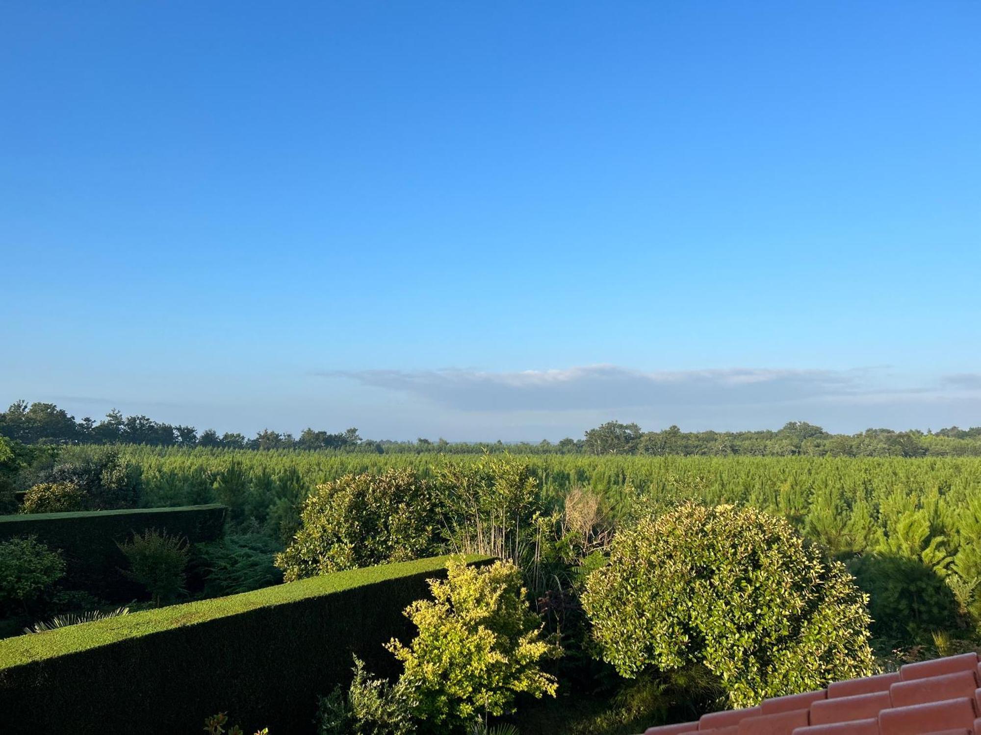 Jolie Maison De Vacances Avec Terrasse Et Jardin Saint-Julien-en-Born Buitenkant foto