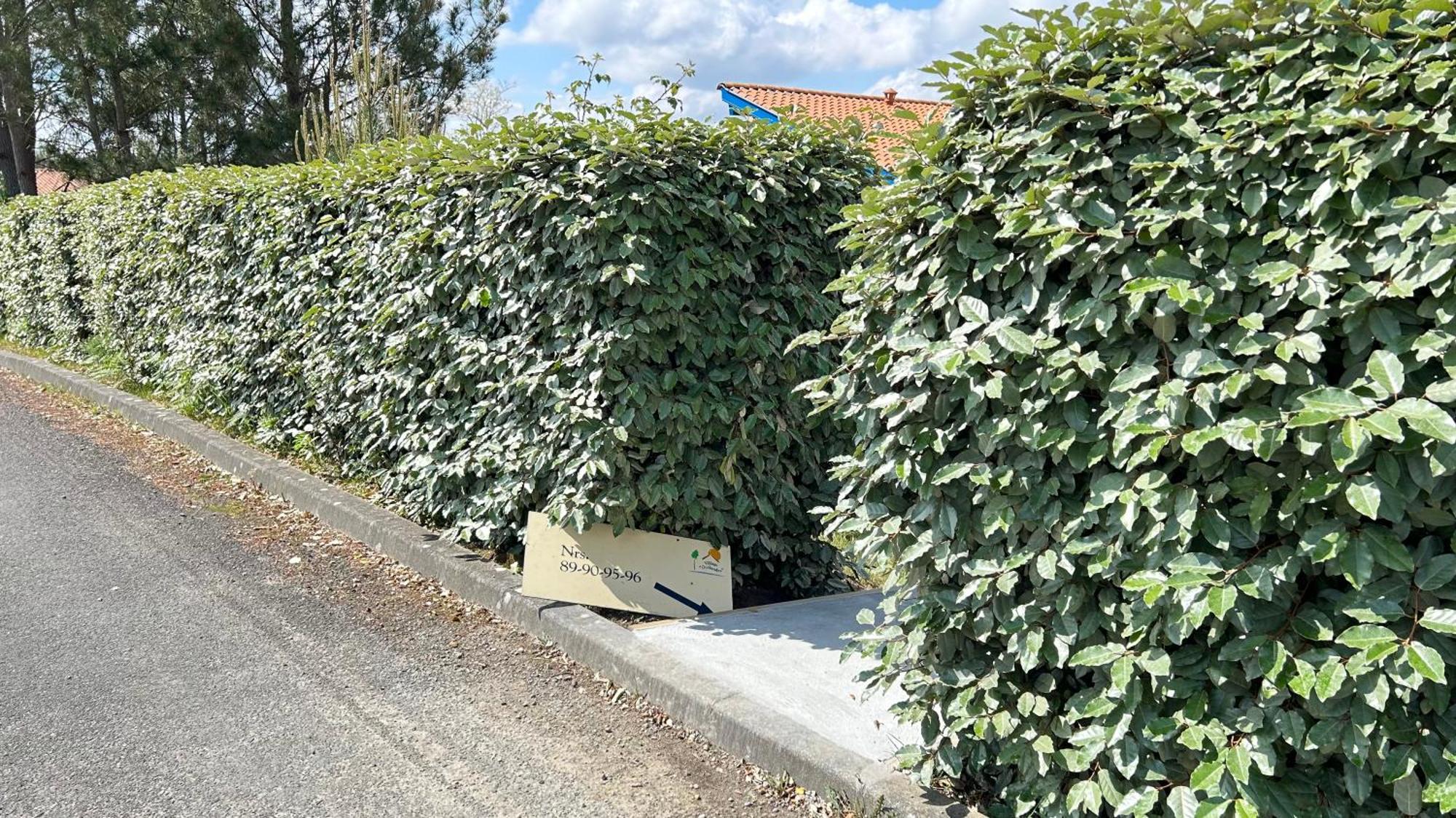 Jolie Maison De Vacances Avec Terrasse Et Jardin Saint-Julien-en-Born Buitenkant foto