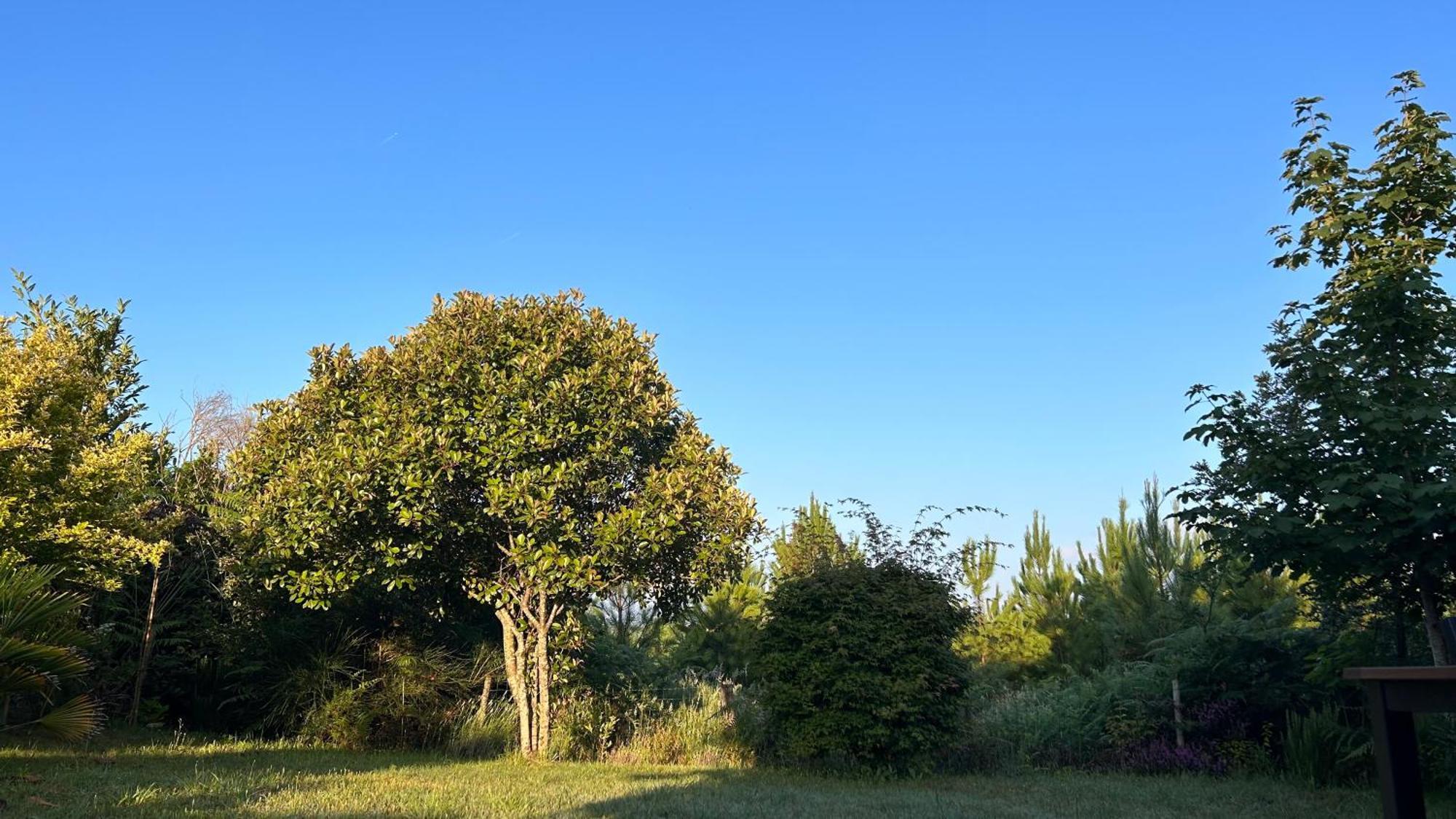 Jolie Maison De Vacances Avec Terrasse Et Jardin Saint-Julien-en-Born Buitenkant foto